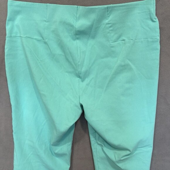 Nina Leonard XL Mint Green Stretch Pants Control Top Work Casual Plus Size - Picture 5 of 10